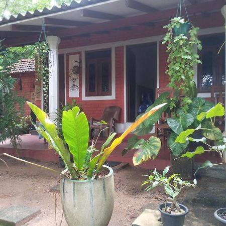 Angry Birds Homestay 하바라나 객실 사진
