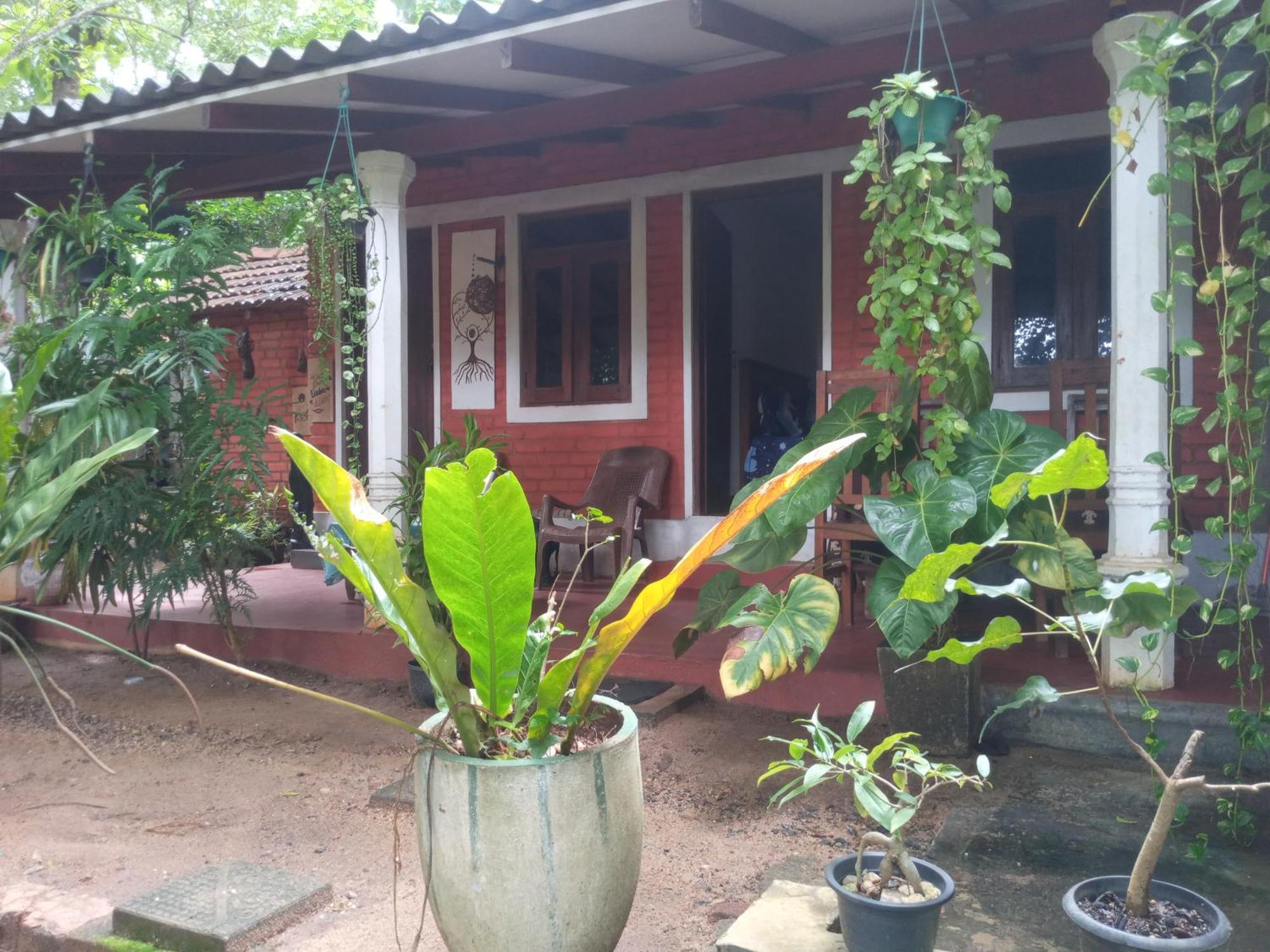 Angry Birds Homestay 하바라나 객실 사진